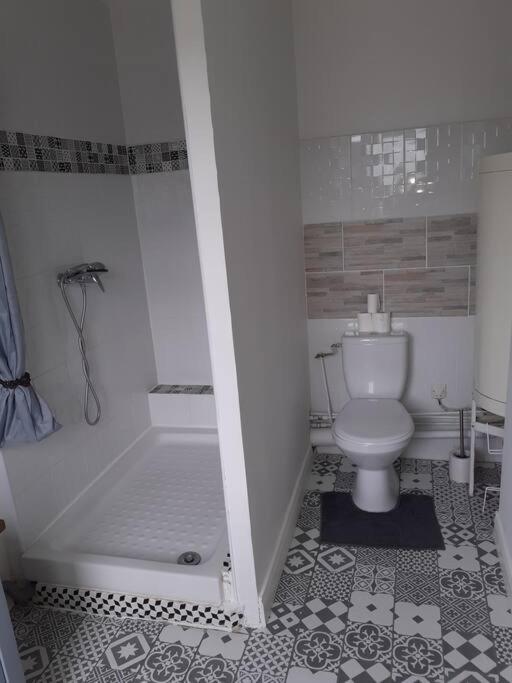 Maison Diana A 400 Metres A Pieds De L'Aeroport Tillé Zewnętrze zdjęcie